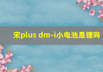 宋plus dm-i小电池是锂吗